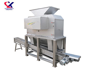 陕西火龙果剥皮榨汁机