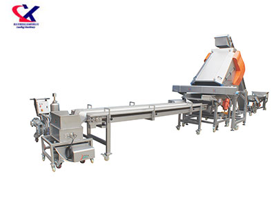 陕西葡萄除梗粒选生产线