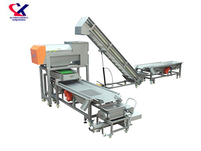 陕西转筒式脱梗粒选生产线