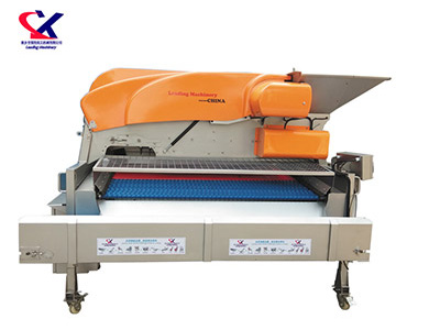 陕西链板式葡萄除梗粒选机