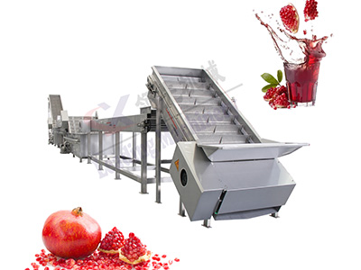 陕西石榴果汁生产线