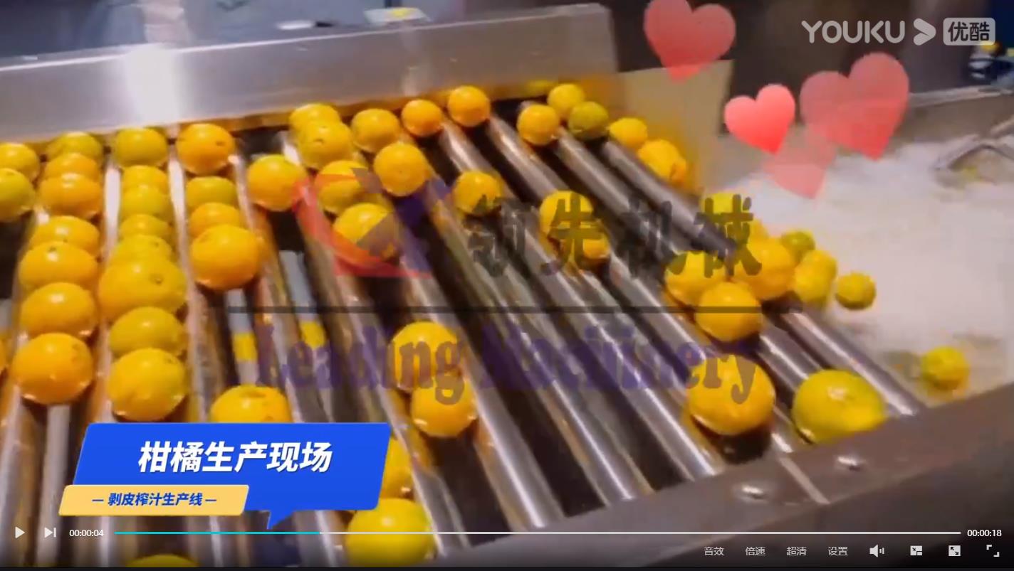柑橘加工生产线