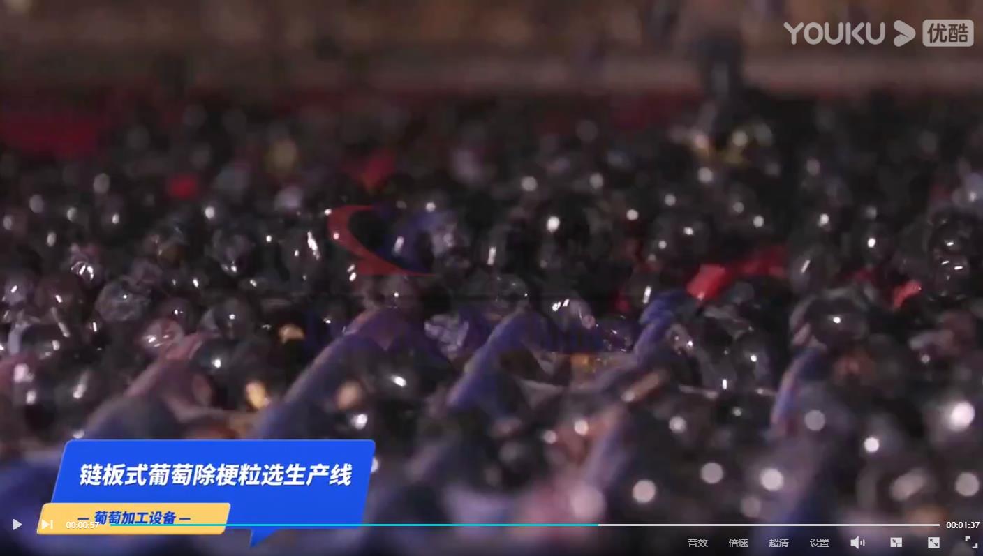 链板式葡萄除梗粒选生产线